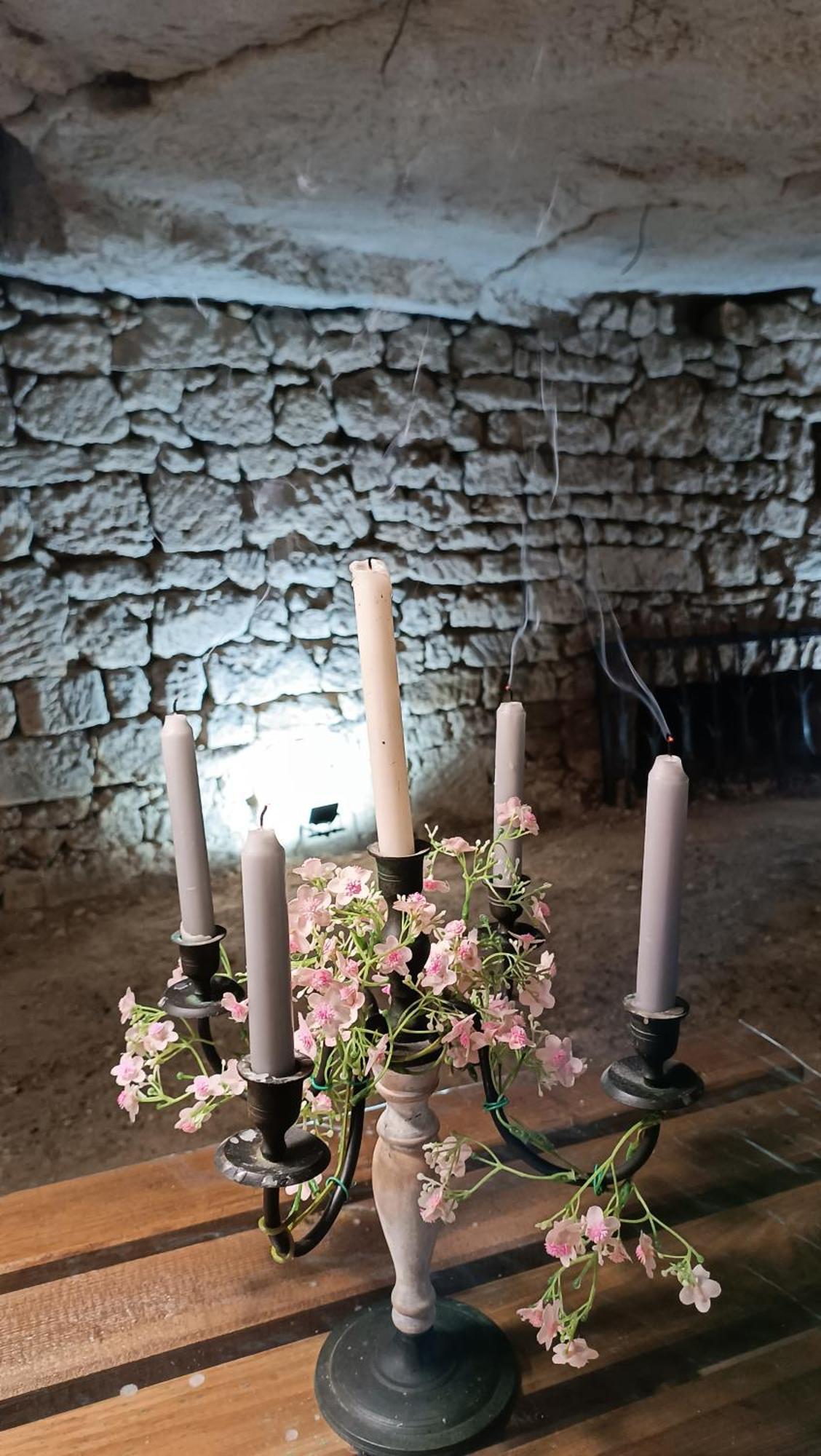 Hébergement de vacances Meuble De Tourisme Petit Chail Savinien Saint-Savinien