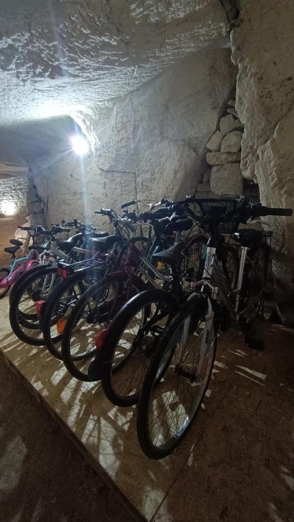 Hébergement de vacances Meuble De Tourisme Petit Chail Savinien Saint-Savinien